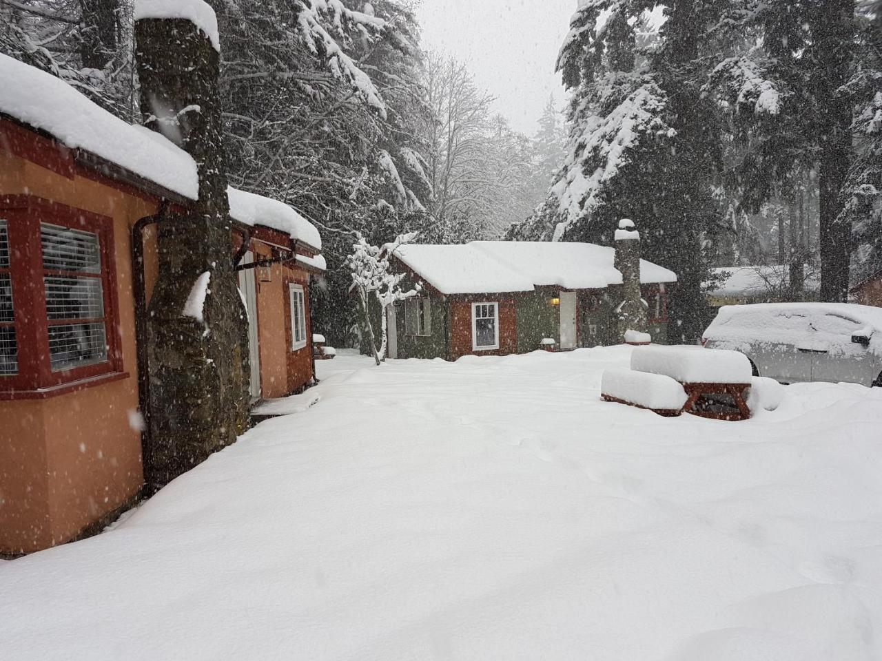 Malahat Bungalows Motel Motel 2*
