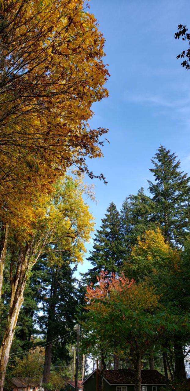 Malahat Bungalows Motel 2* Malahat
